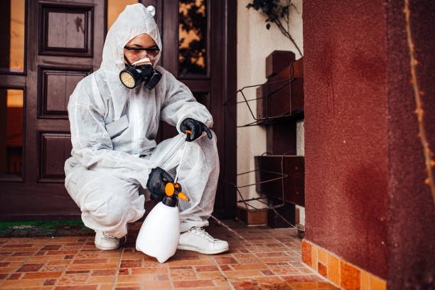 Reliable Cockroach Control contractor in Mandan, ND by Nex Pest Control